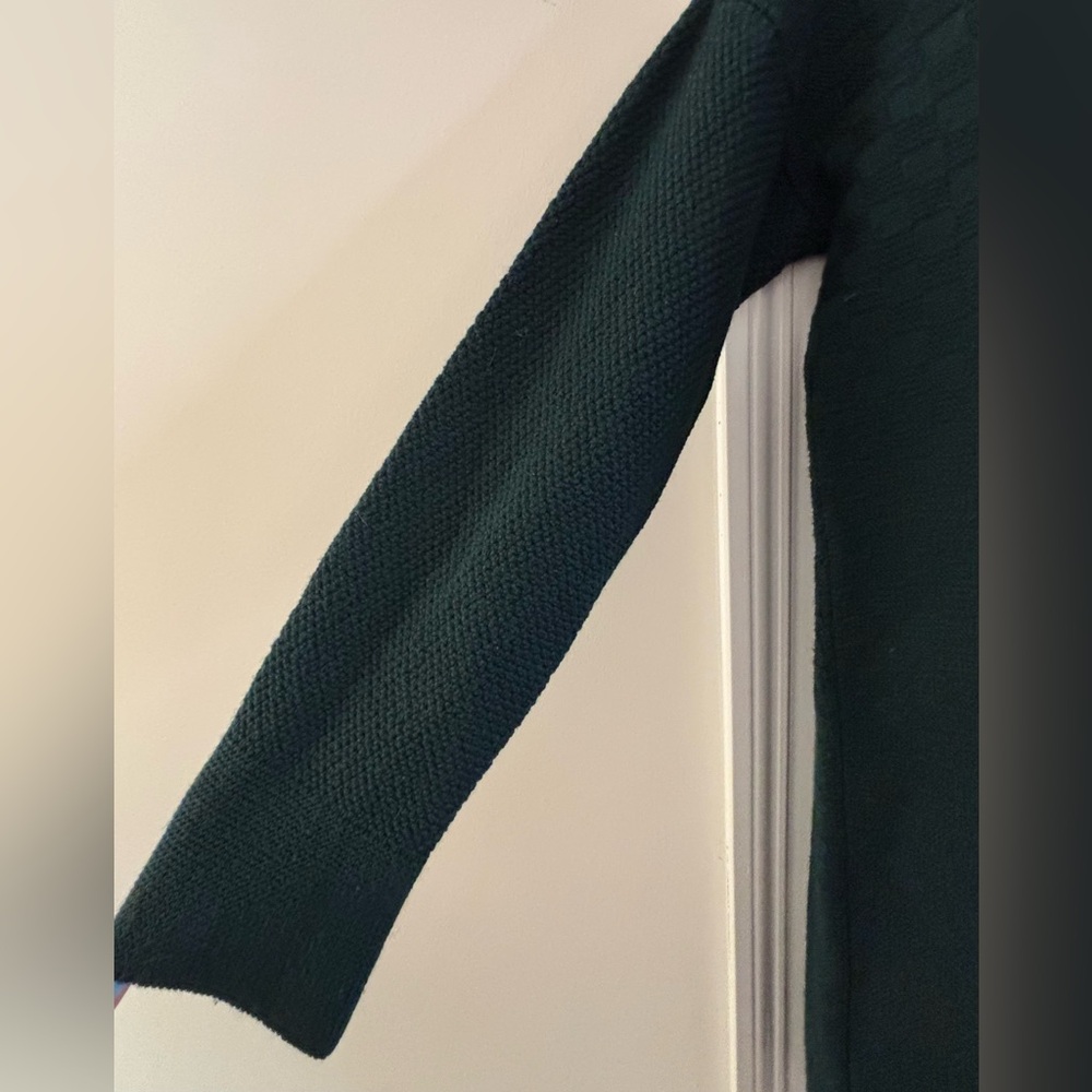 Annina Merino Wool Forest Green Turtleneck Sweater Dress - Picture 5 of 9
